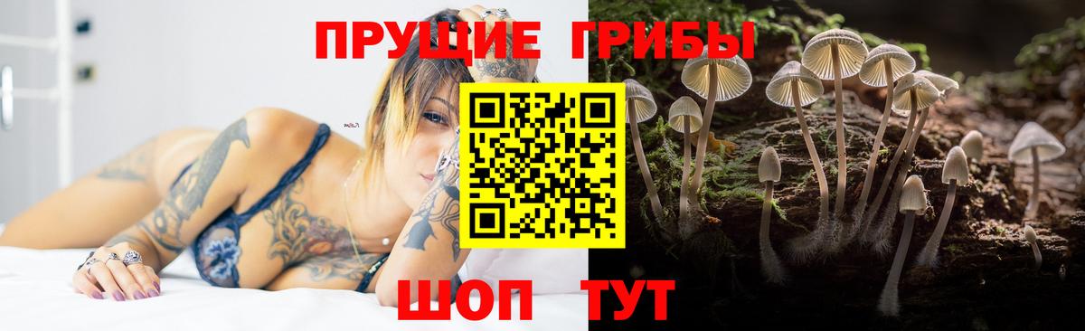 Псилоцибиновые грибы GOLDEN TEACHER Еманжелинск